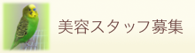 スタッフ募集